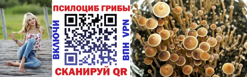 kraken рабочий сайт  маркетплейс официальный сайт  Галлюциногенные грибы мухоморы  Черноголовка 