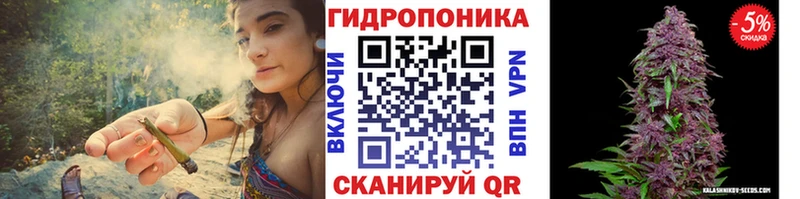Бошки марихуана сатива  гидра ONION  Черноголовка 